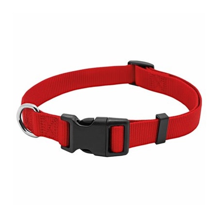Pe 1X26 Red Dog Collar